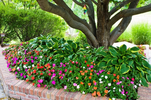 Balogh Gardens - Denver Gardening and Landscaping