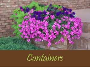 Balogh Gardens - Denver Gardening and Landscaping - Containers