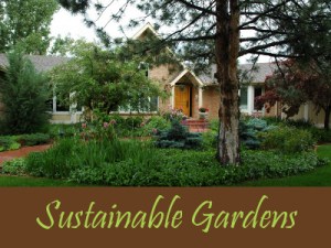 Balogh Gardens - Denver Gardening and Landscaping - Sustainable Gardens